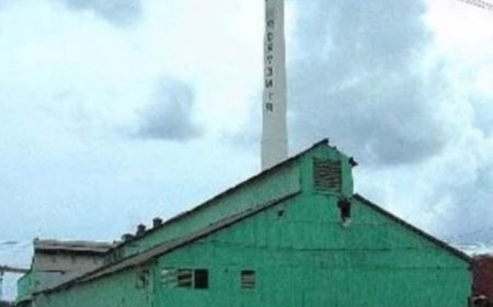 La chimenea del parque zona franca de esperanza patrimonio cultural